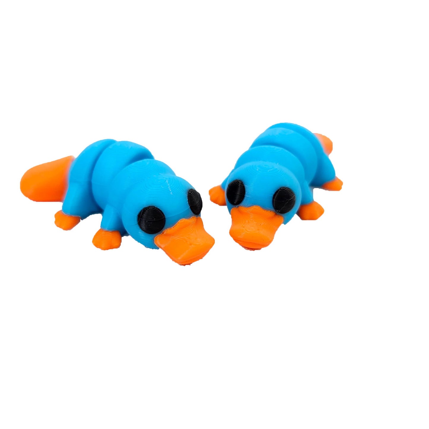 Platypus Fidget Toy - fidget toy